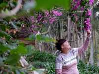 เดินเที่ยวมหาลัยบรรยากาศดีๆที่เซียะเหมิน