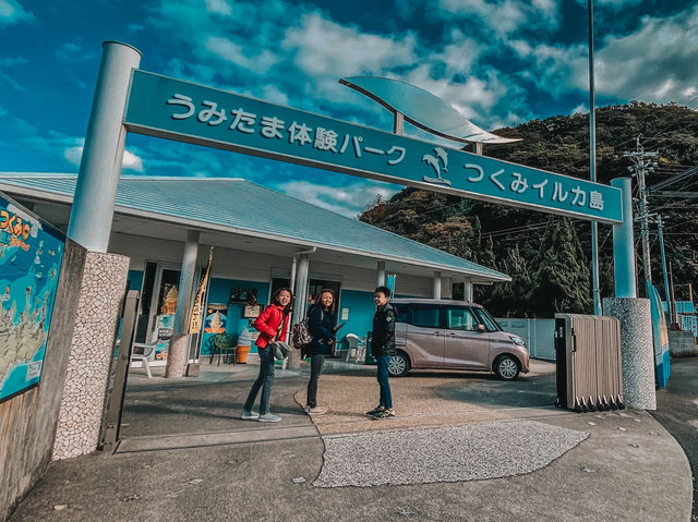 Swim with Dolphins in Kyushu: A One-Day Escape to Youra, Tsukumi