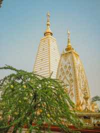 วัดพระธาตุหนองบัว | อุบลราชธานี