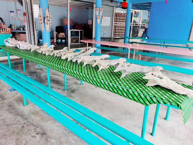 🐊 Teluk Sengat Crocodile Farm: A Solo Traveller’s Wild (and Slightly Terrifying) Adventure