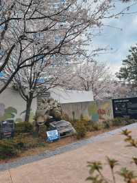 Bloom, Breeze & a Bit of Roar: Discover the Charm of Songdo Cable Car