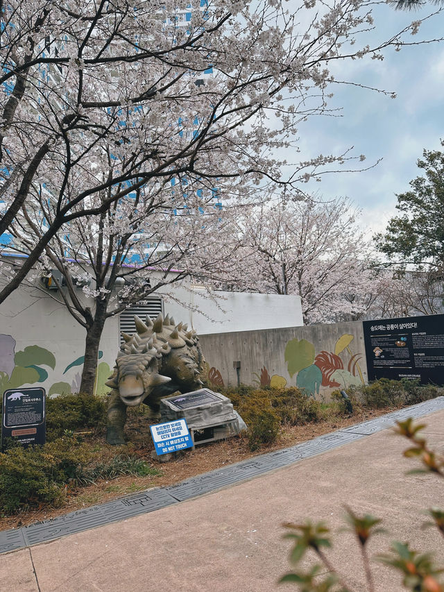 Bloom, Breeze & a Bit of Roar: Discover the Charm of Songdo Cable Car