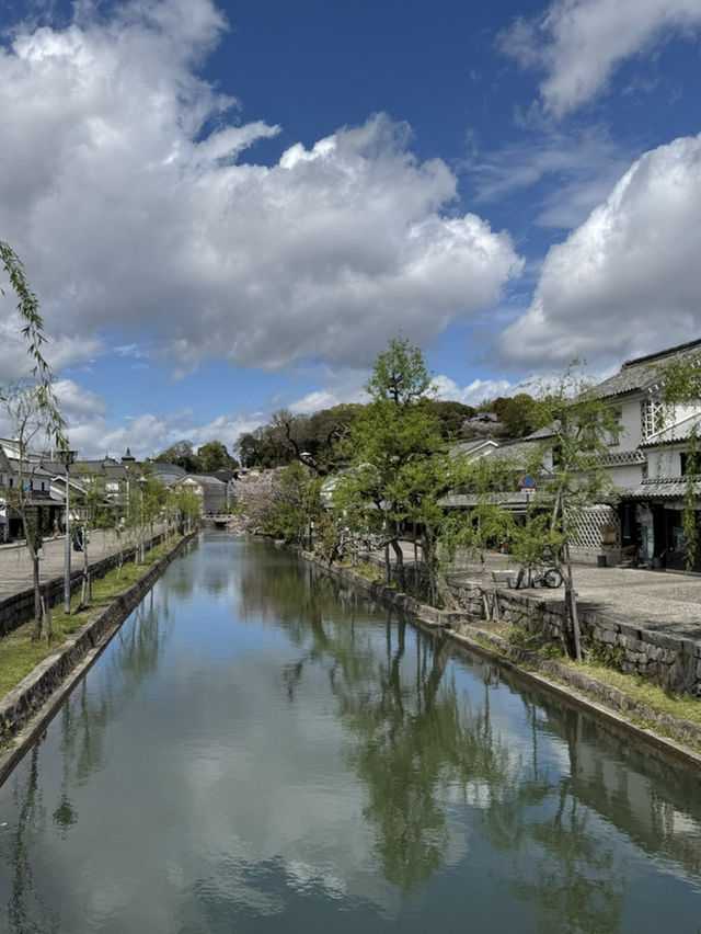 A Journey Through Innovation, History, and Beauty: Kansai and Beyond