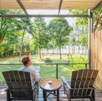 The Mangrove by Blu Monkey 