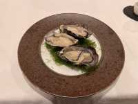 優雅に記念日ディナーなら　Sakaki(レストランサカキ) @京橋🍽️
