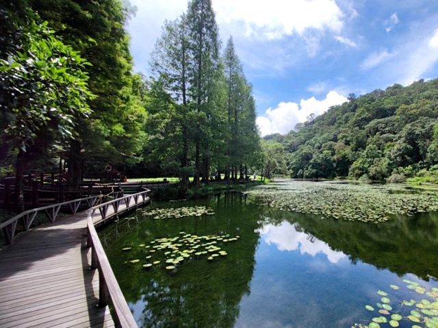 #福山植物園-新北市烏來區