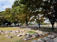 Echoes of the Past, Bonds of Today: A Family’s Daeneungwon Reflections