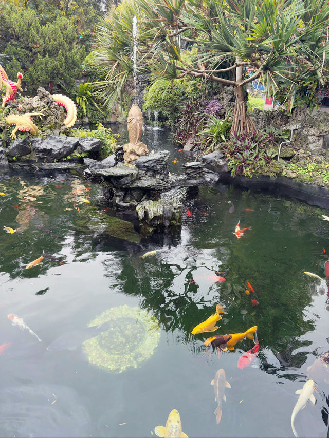 台北｜龍山文創基地一日遊