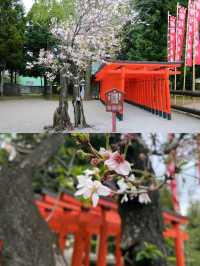 靜心之地～水前寺成趣園與出水神社