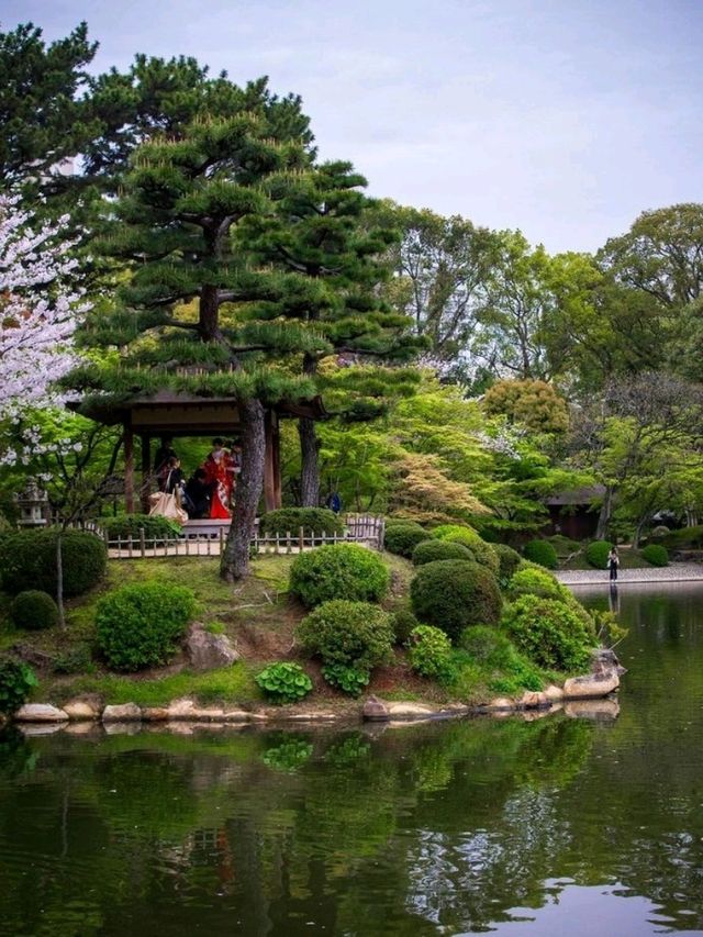 shukkeien garden hiroshima