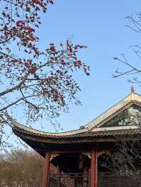 順德順峰山公園