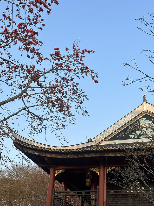 順德順峰山公園