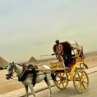 Exploring Timeless Egypt – Pyramids, Nile & More