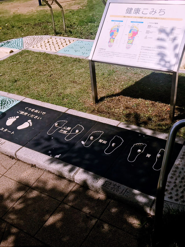 【聖路加国際大学　聖ルカ礼拝堂　St. Luke's Chapel と築地川公園　築地　東京】