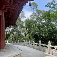 探秘歷史建築與城市風光之美✨深圳龍華大浪日遊⛪️🌴🌊 🛍️