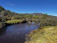 Discover the scenic view & wombats sightings at Cradle Mountain Ronny Creek walk