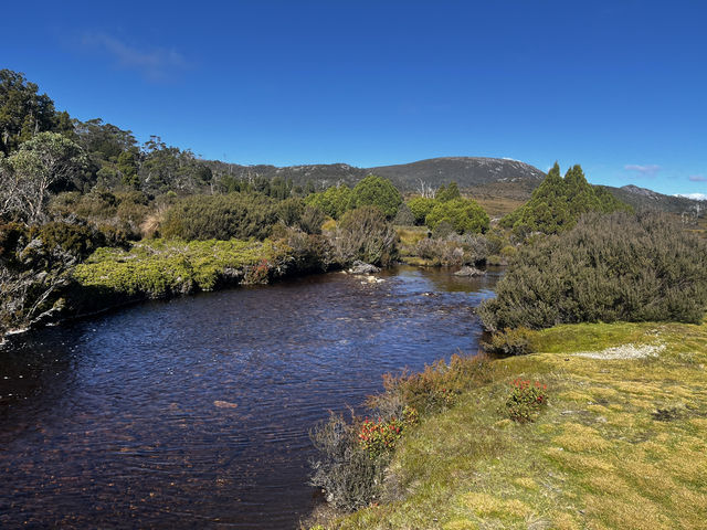 Discover the scenic view & wombats sightings at Cradle Mountain Ronny Creek walk