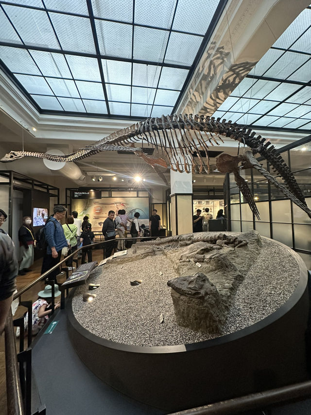 과학의 모든 것! 도쿄 국립과학박물관 🦖🌏✨