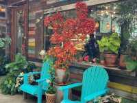 Chaba Chabai Cafe 