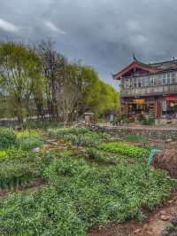 Echoes of the Past: Spring Wanders in Shuhe Ancient Town