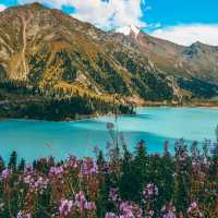Almaty’s Spring Canvas: Blossoms Beneath the Tien Shan