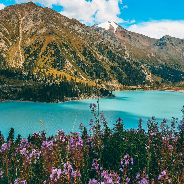 Almaty’s Spring Canvas: Blossoms Beneath the Tien Shan