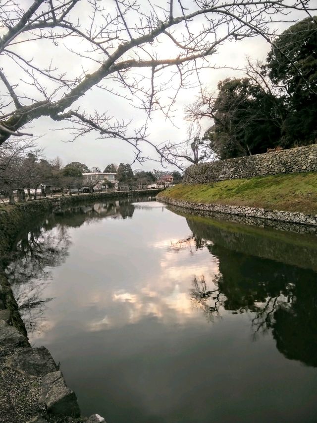 #彥根城-日本滋賀縣彥根市
