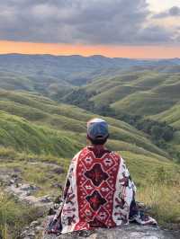 The Green Majesty of Wairinding Hill