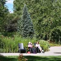 Late Summer Serenity – A Royal Botanical Gardens Experience