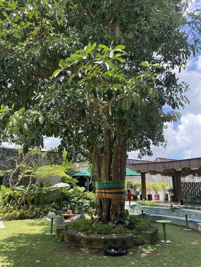 Livingstone Holyground 