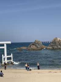 福岡5日4夜之行