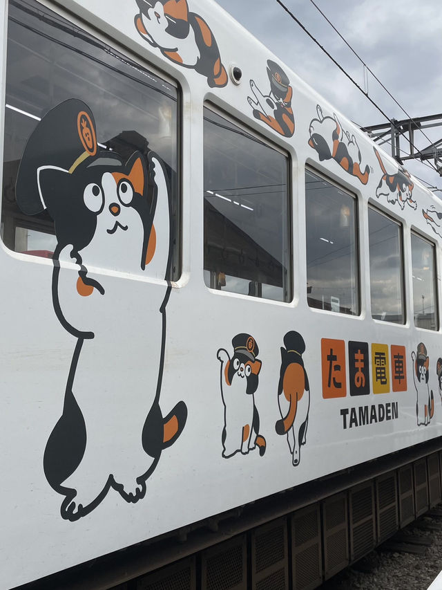 【和歌山半日遊懶人包】貴志站朝聖二代玉站長＋搭乘小玉電車、Tama Museum列車，療癒爆棚的貓咪列車之旅🐾