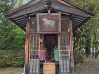 必見スポット☆盛岡八幡宮