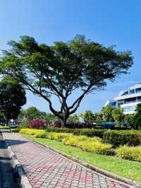 Garden Park MBKS Kuching – A Must-Visit Urban Oasis