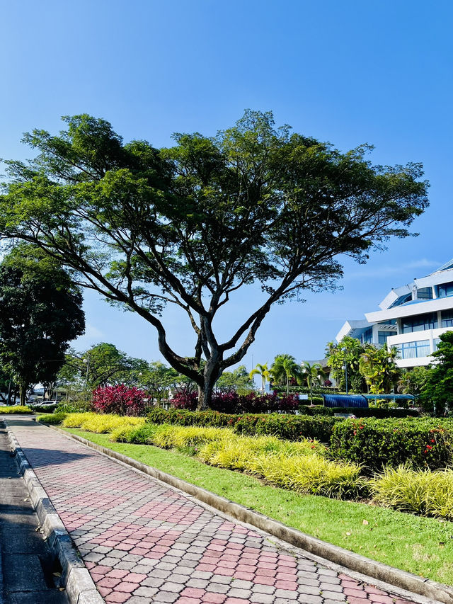 Garden Park MBKS Kuching – A Must-Visit Urban Oasis