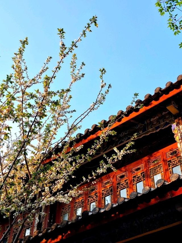 Heilongtan Park