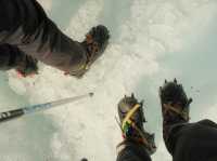 Walking on Ice: An unforgettable adventure with Fox Glacier Guiding