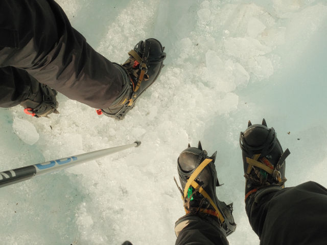 Walking on Ice: An unforgettable adventure with Fox Glacier Guiding