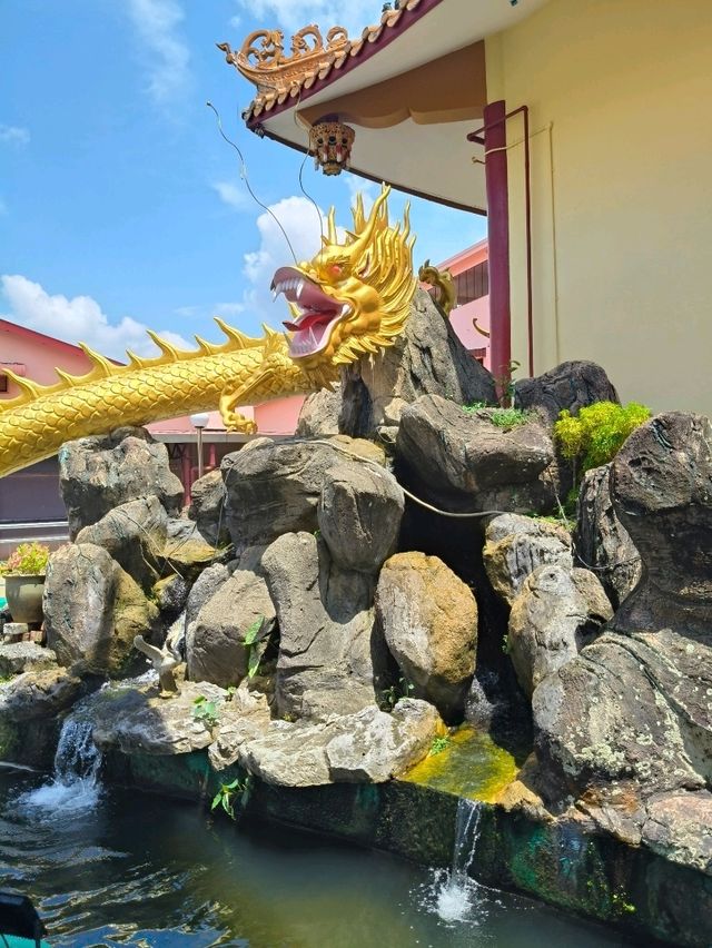Dragons, Deities & Devotion: The Legacy of Qing Yun Yan
