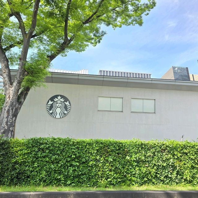 皇居のスタバ☕😌✨