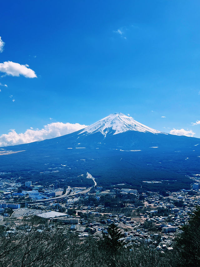 ［東京旅遊］天上山公園-搭乘纜車🚡遠眺富士山🗻風光