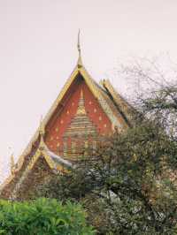 Ayuttaya Day Tour