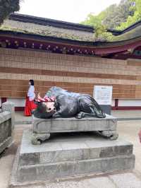 福岡必去🇯🇵太宰府天滿宮半日遊⛩️