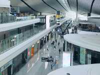 하늘에서 피어난 거대한 꽃, 베이징 다싱공항
