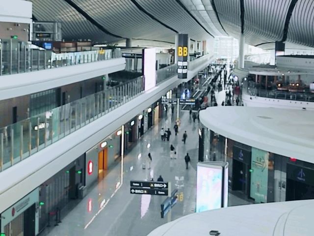 하늘에서 피어난 거대한 꽃, 베이징 다싱공항