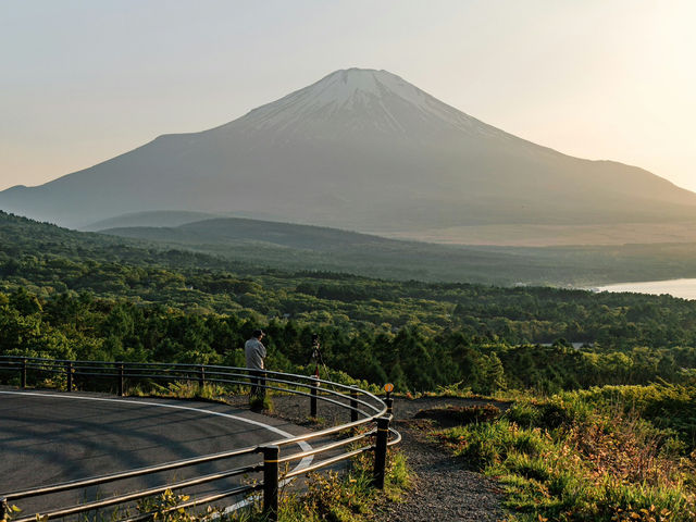 Epic Spring Mt. Fuji Framed by Sakura at Chureito Pagoda