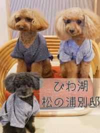 予約困難❕ペットと泊まれる人気の温泉宿🐕‍🦺