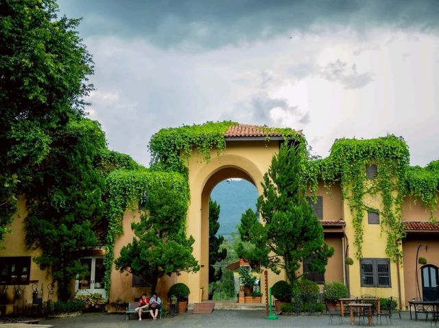 🌲 Primo Piazza วันที่ฝนตก ⛈️