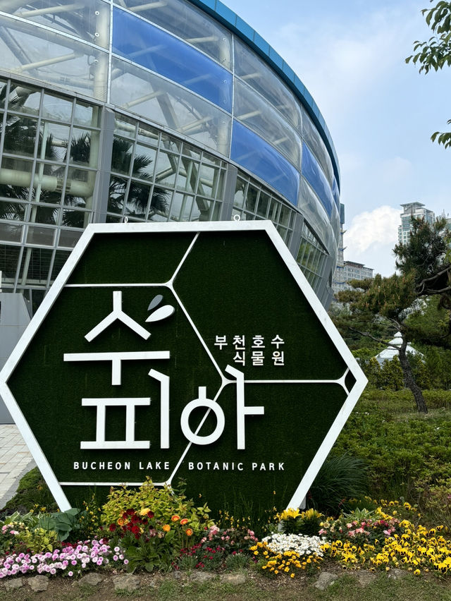 상동 호수공원의 수피아 가자