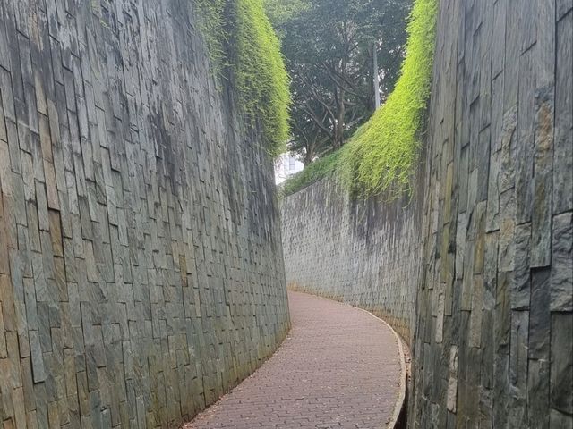 Urban Gems: A Sparkling Singapore Walk 👣